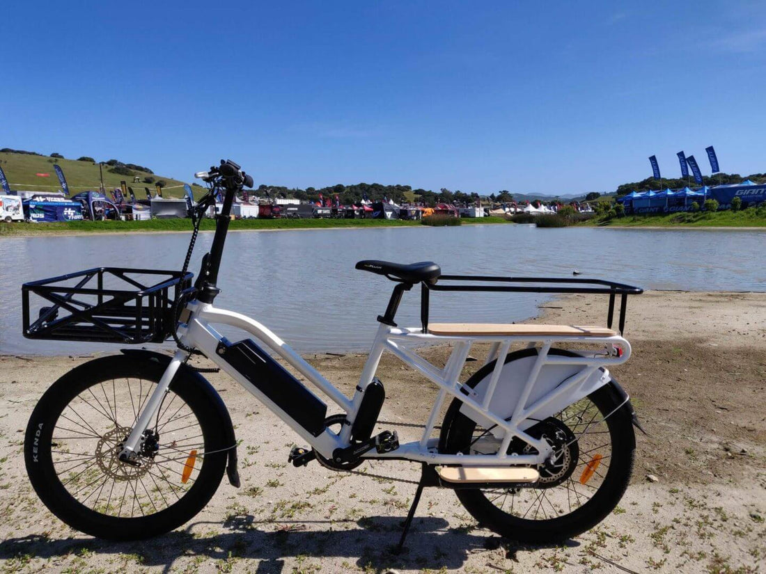 The Benefits of Electric Cargo Bikes